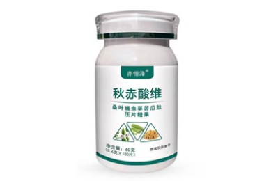 长春朝阳区初创公司！招人！